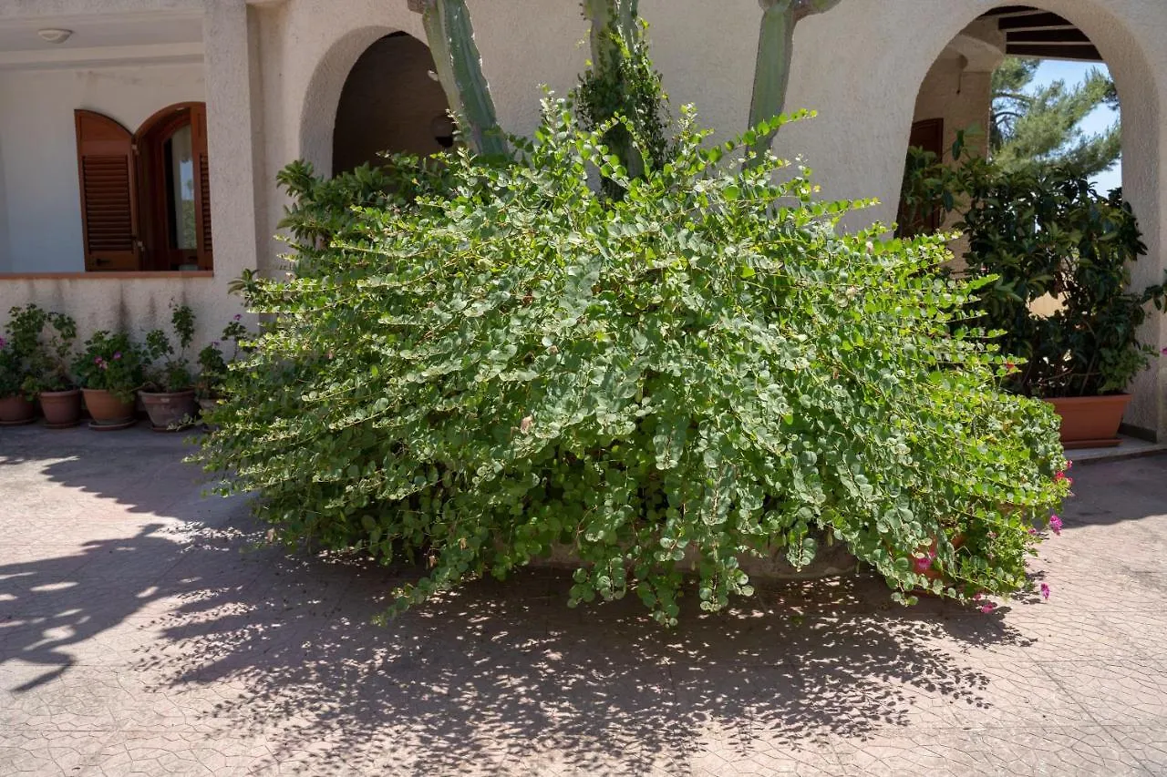 Terrazza Sul Plemmirio Bed & Breakfast Fanusa Italy